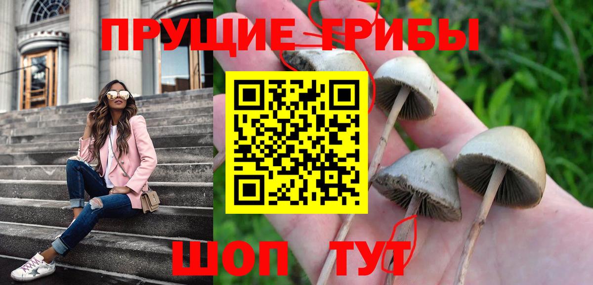 Галлюциногенные грибы ЛСД  Псилоцибиновые грибы Psilocybe  Фролово  Вход с VPN 
